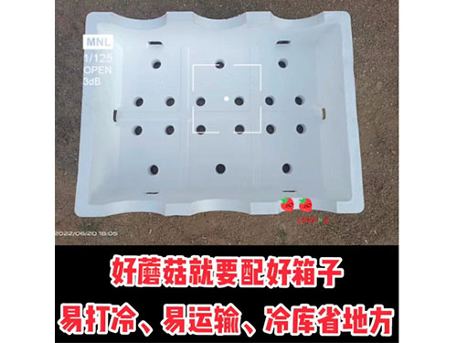 平菇泡沫箱 平菇泡沫箱